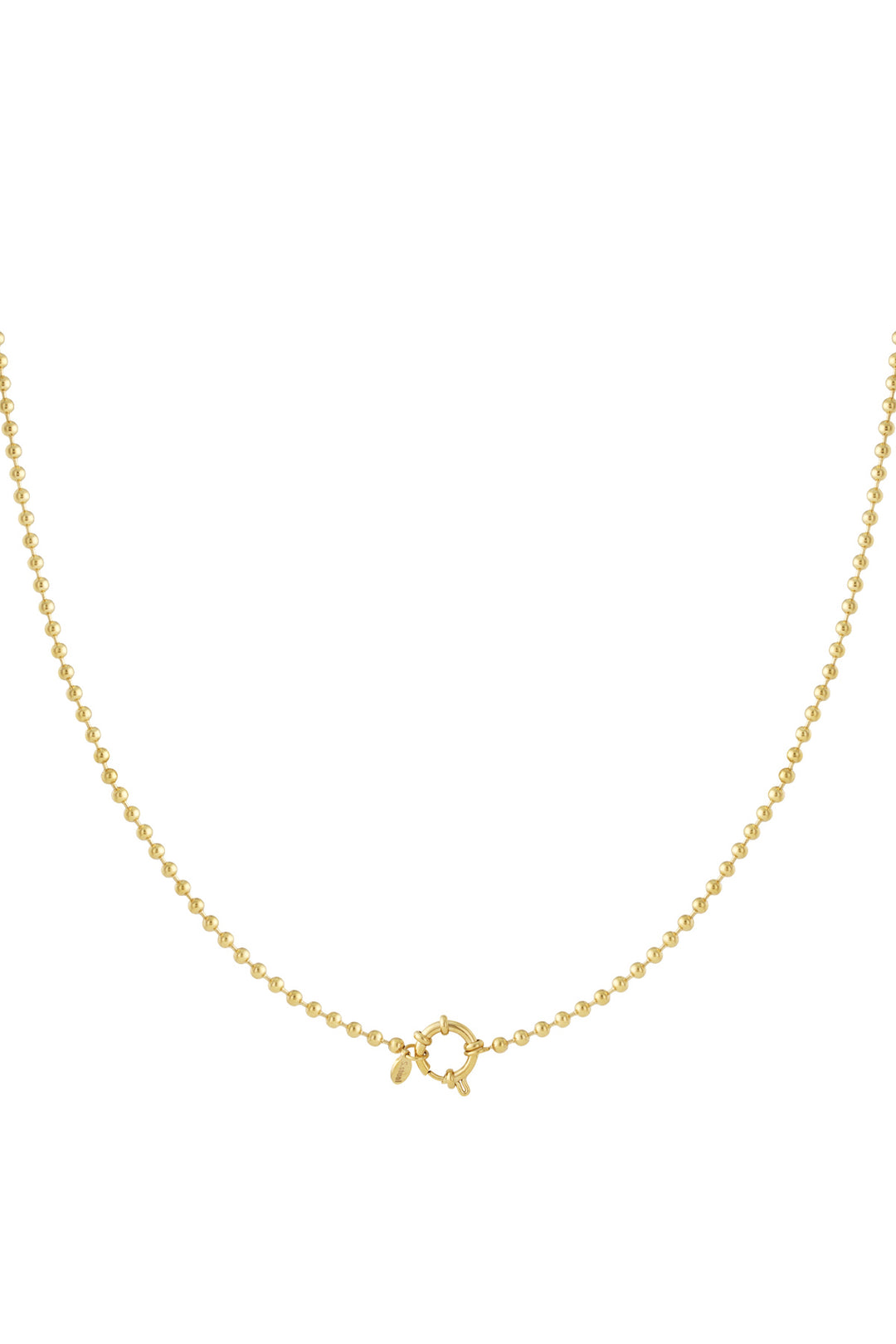 Stainless Steel Chain Necklaces Geometric Casual Daily Simple Series Women's jewelry