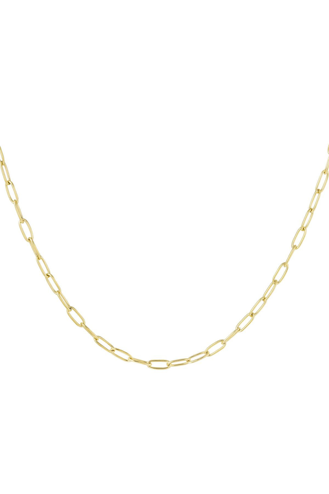 Link chain basic Gold Color Stainless Steel