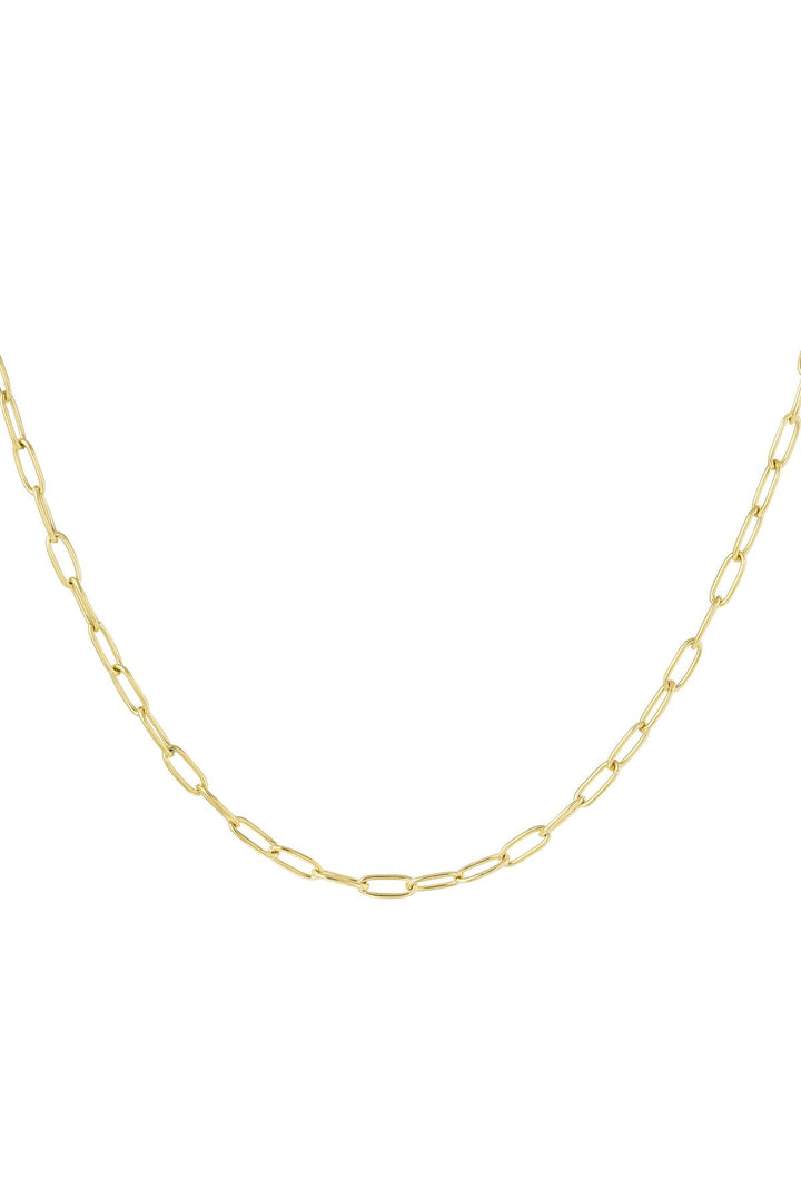 Link chain basic Gold Color Stainless Steel